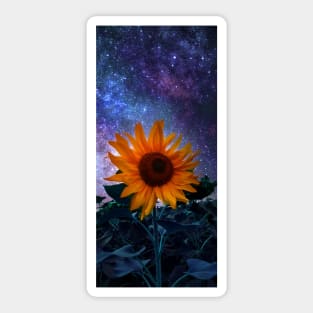 Sunflower from the space Sticker